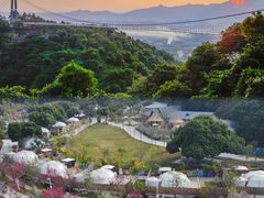 -南丹山森林王国