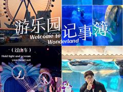 -海合安武汉极地海洋公园