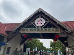 -上海海湾国家森林公园