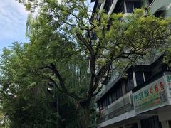 -成都市活水公园