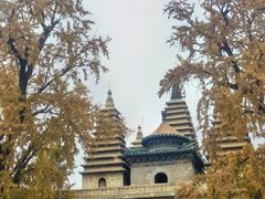 -北京石刻艺术博物馆(五塔寺)
