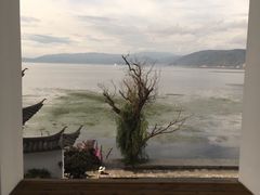 -大理无舍度假酒店