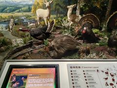 -陕西自然博物馆