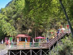 -宁波五龙潭景区