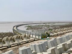 -南汇嘴观海公园