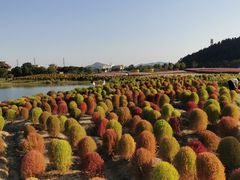 -径山花海