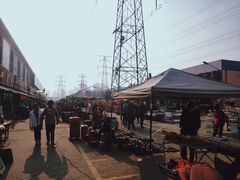 -中环花鸟鱼虫市场