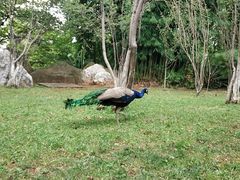 -昆明动物园