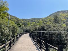 -树山生态村