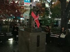 -涩谷全向十字路口