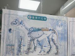 -瑞鹏宠物医院华南总院·夜诊·心脏科·骨科
