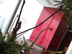 -老板恋上鱼(恒隆广场店)