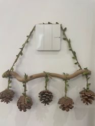 -Y+普拉提·轻抗阻·女子塑形