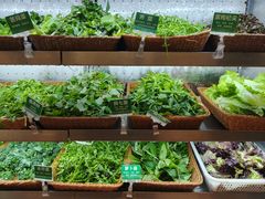 -春耕野菜馆(湖滨路店)