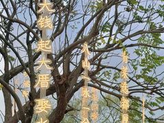-巨鹏飞梦幻海岸