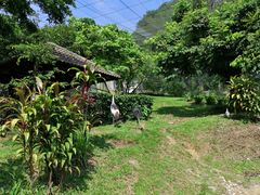 -吉隆坡雀鸟公园
