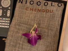 -成都尼依格罗酒店