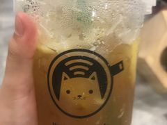 -楼上猫咖(罗湖店)