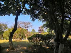 -八仙山公园