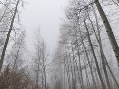 -秦皇岛野生动物园