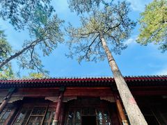 -承德避暑山庄景区