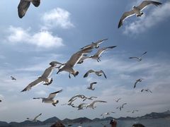 -海驴岛(荣成市)