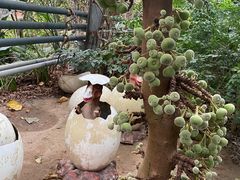 -呀路古热带植物园
