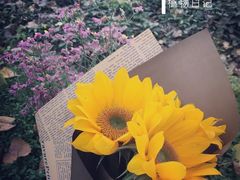 -三圣花乡旅游区