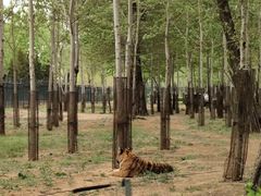 -秦皇岛野生动物园