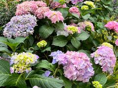 -人民公园(罗湖区)