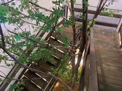 -蜜桃餐厅·伴山(湖滨商业街店)