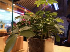 -熊吞·大碗丼烧肉饭(济宁万达广场店)