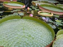 -华南国家植物园-售票处