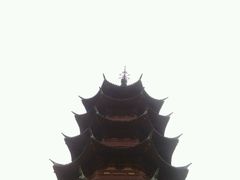 -东方明珠国际旅行社有限公司