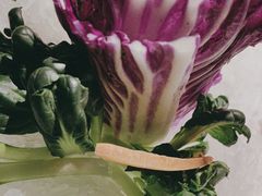 -百草滩羊清水涮羊肉(长城路店)