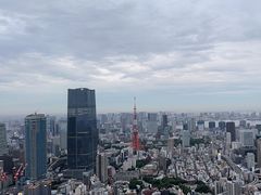-六本木新城展望台(东京城市景观)