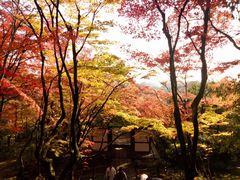 -常寂光寺