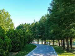 -羊亭河湿地公园