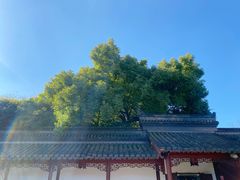 -钱王祠
