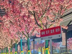 -西北湖绿化广场