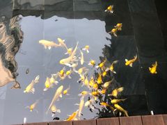 -觀芷隐轩·宋宴(河坊街店)