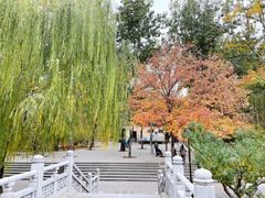 -元大都城垣遗址公园