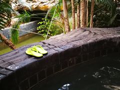 -龙达温泉生态城