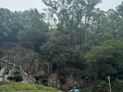 -大雁山风景区
