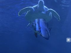 -太平洋海底世界