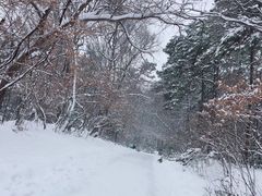 -紫金山索道-售票处
