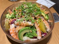 -O'eat Blossom&Pelican(深圳首店)