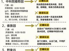 -西双版纳总佛寺