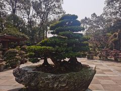 -南山植物园