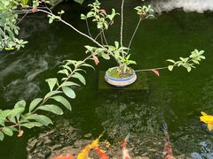 -漫笙舍Manse·咖啡·民宿
